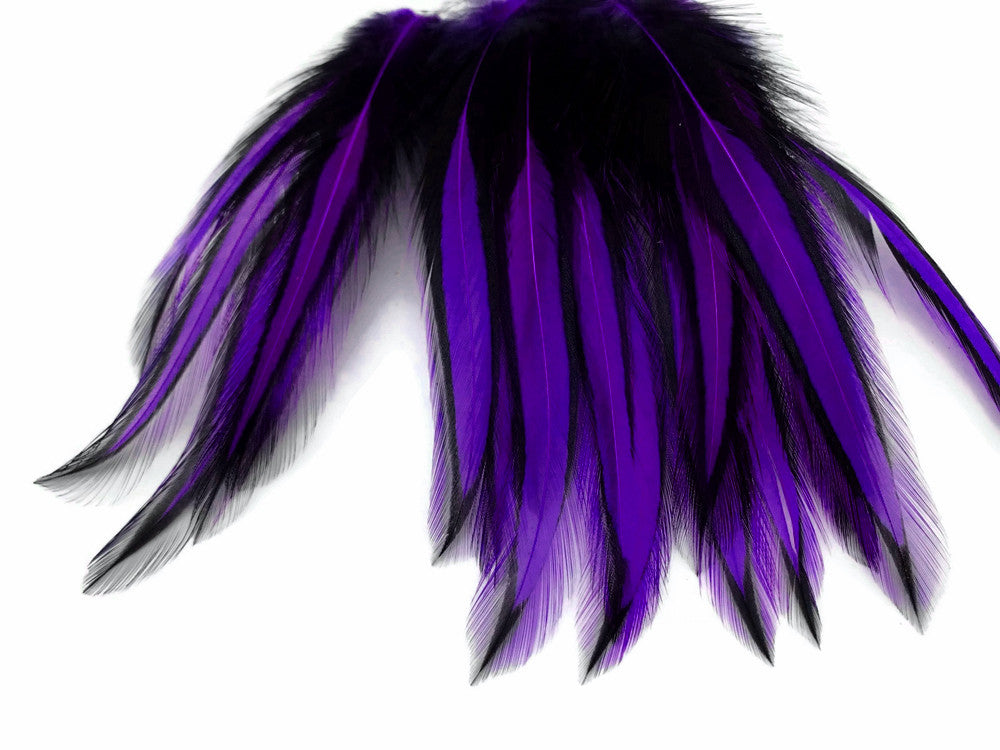 10 Pieces - Purple Dyed BLW Laced Long Rooster Cape Whiting Farms Feathers