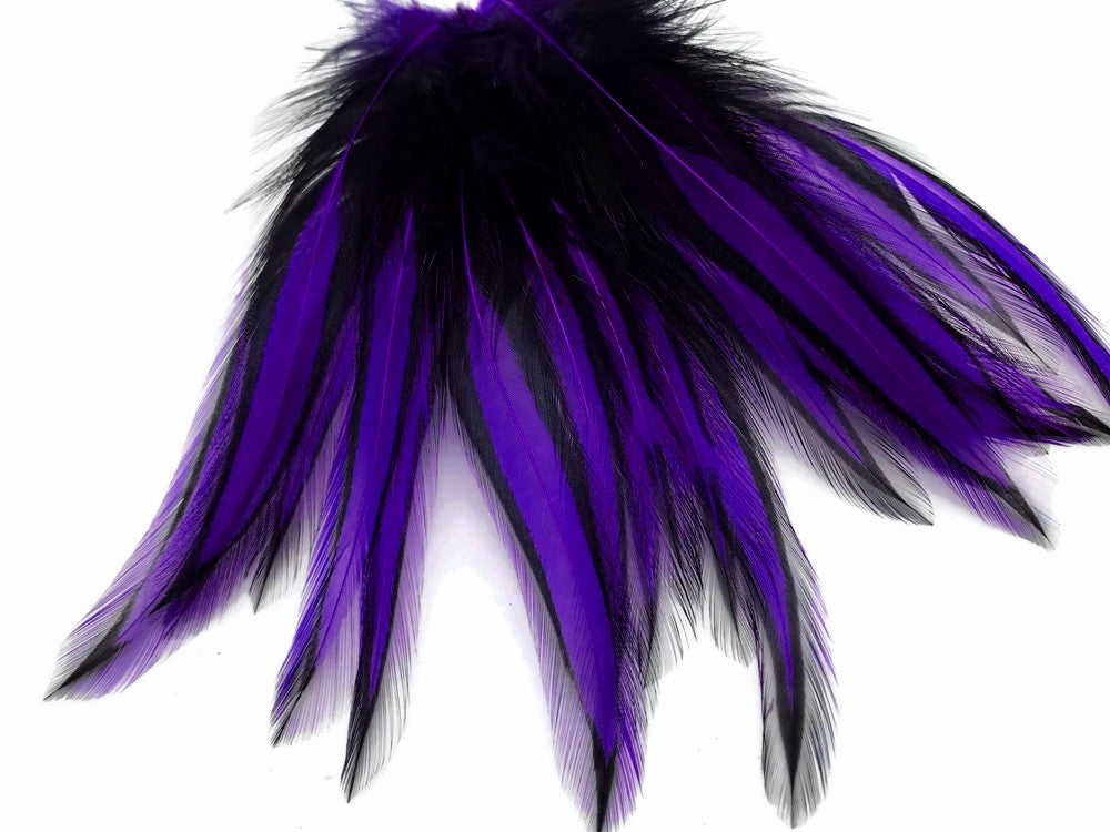 10 Pieces - Purple Dyed BLW Laced Long Rooster Cape Whiting Farms Feathers