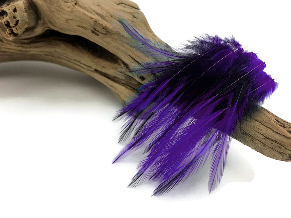 10 Pieces - Purple Dyed BLW Laced Short Rooster Cape Whiting Farms Feathers