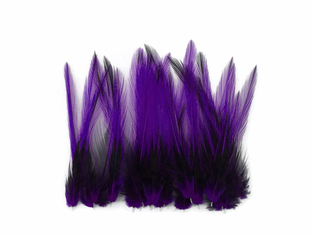 10 Pieces - Purple Dyed BLW Laced Short Rooster Cape Whiting Farms Feathers