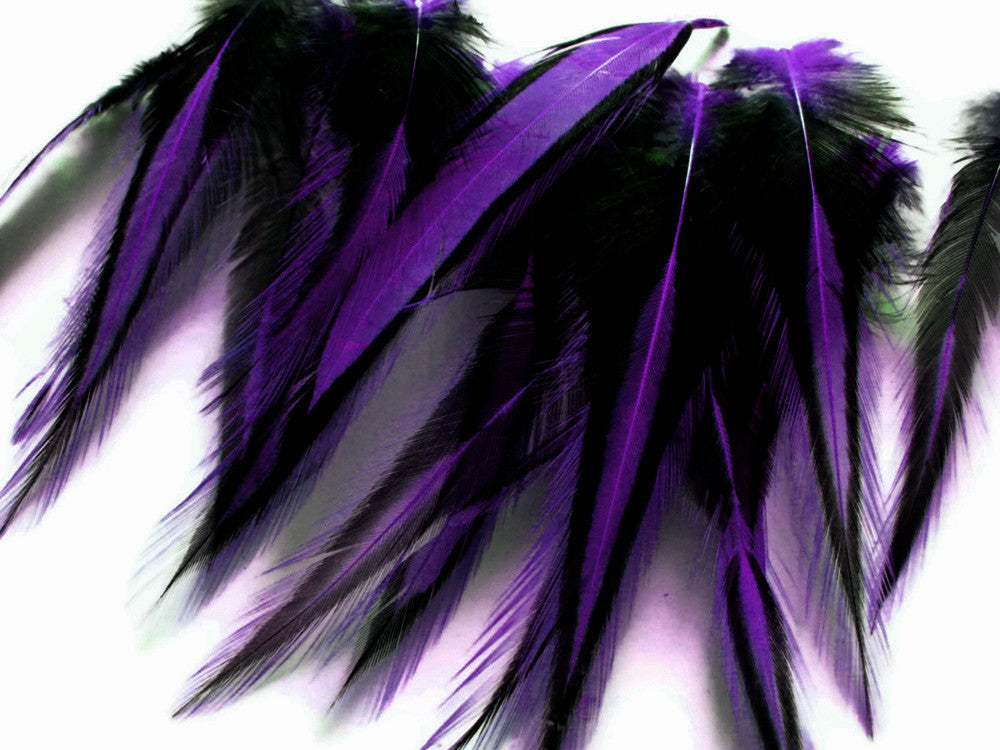 10 Pieces - Purple Dyed BLW Laced Short Rooster Cape Whiting Farms Feathers