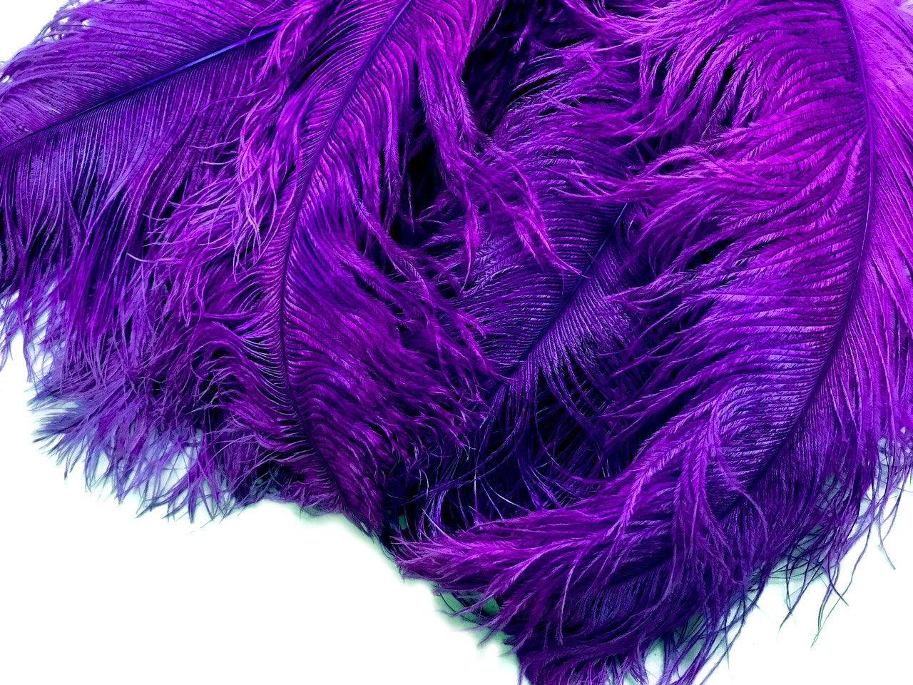 10 Pieces - 18-24" Purple Large Prime Grade Ostrich Wing Plume Centerpiece Feathers