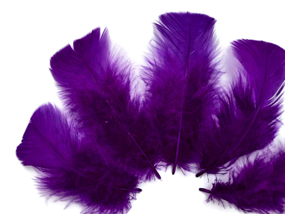 1 Pack - Purple Dyed Turkey T-Base triangle Body Plumage Feathers 0.50 Oz.