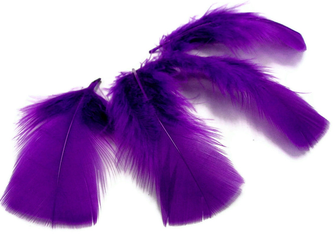 1 Pack - Purple Dyed Turkey T-Base triangle Body Plumage Feathers 0.50 Oz.