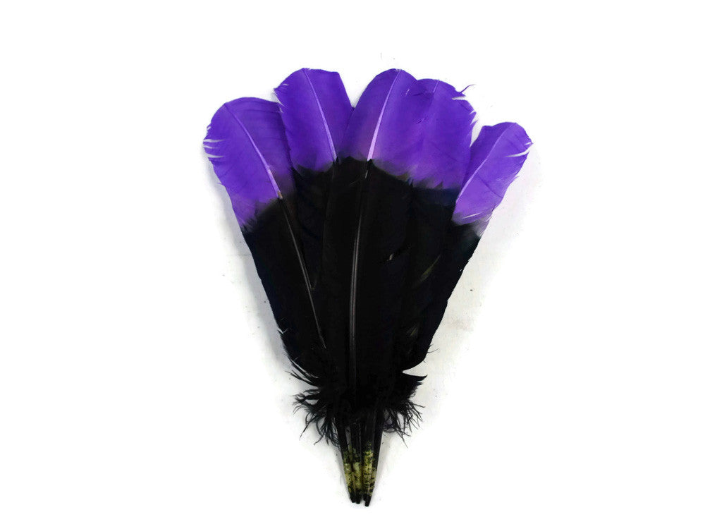 6 Pieces - Purple & Black Two Tone Turkey Round Tom Wing Secondary Quill Feathers