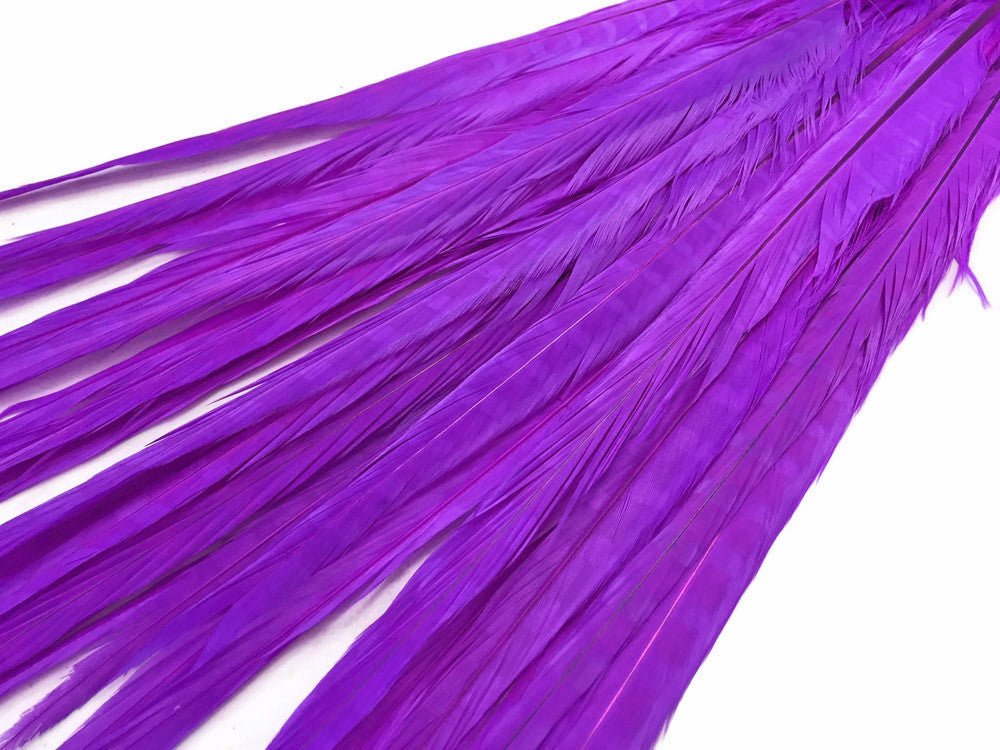 50 Pieces - 18-22" Purple Bleached & Dyed Long Ringneck Pheasant Tail Wholesale Feathers (Bulk)