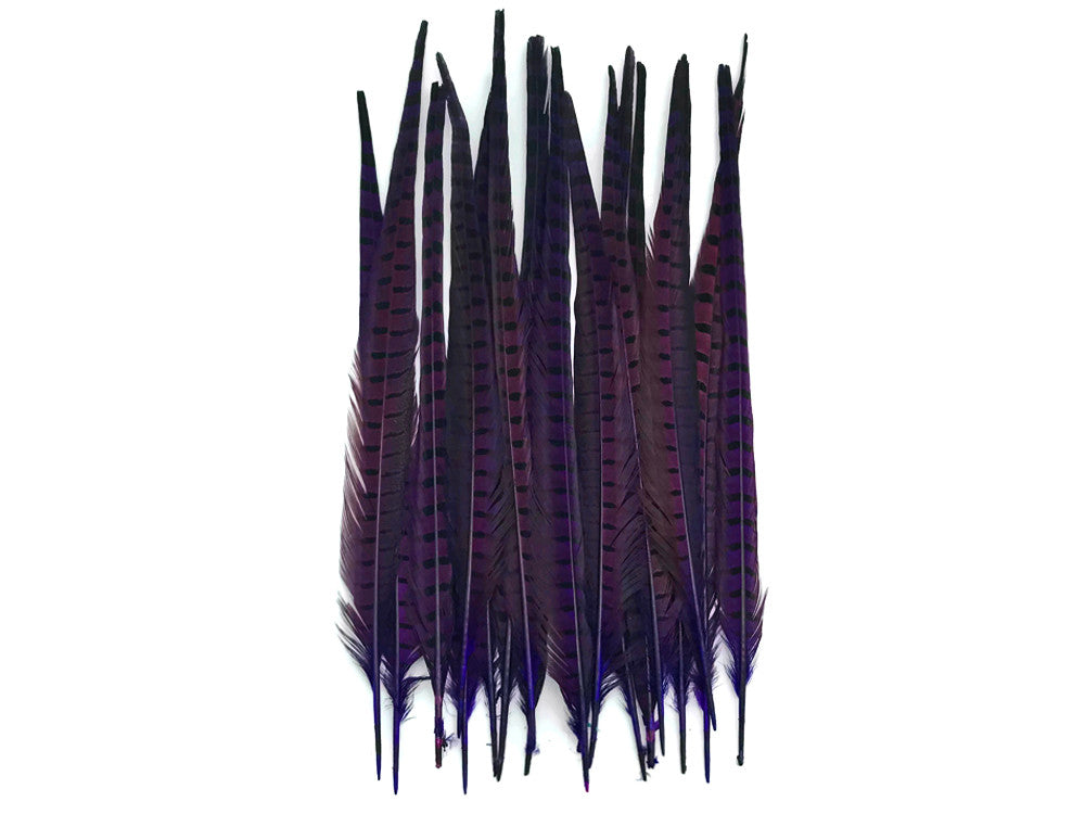 50 Pieces - 18-22" Purple Dyed Over Natural Long Ringneck Pheasant Tail Wholesale Feathers (Bulk)