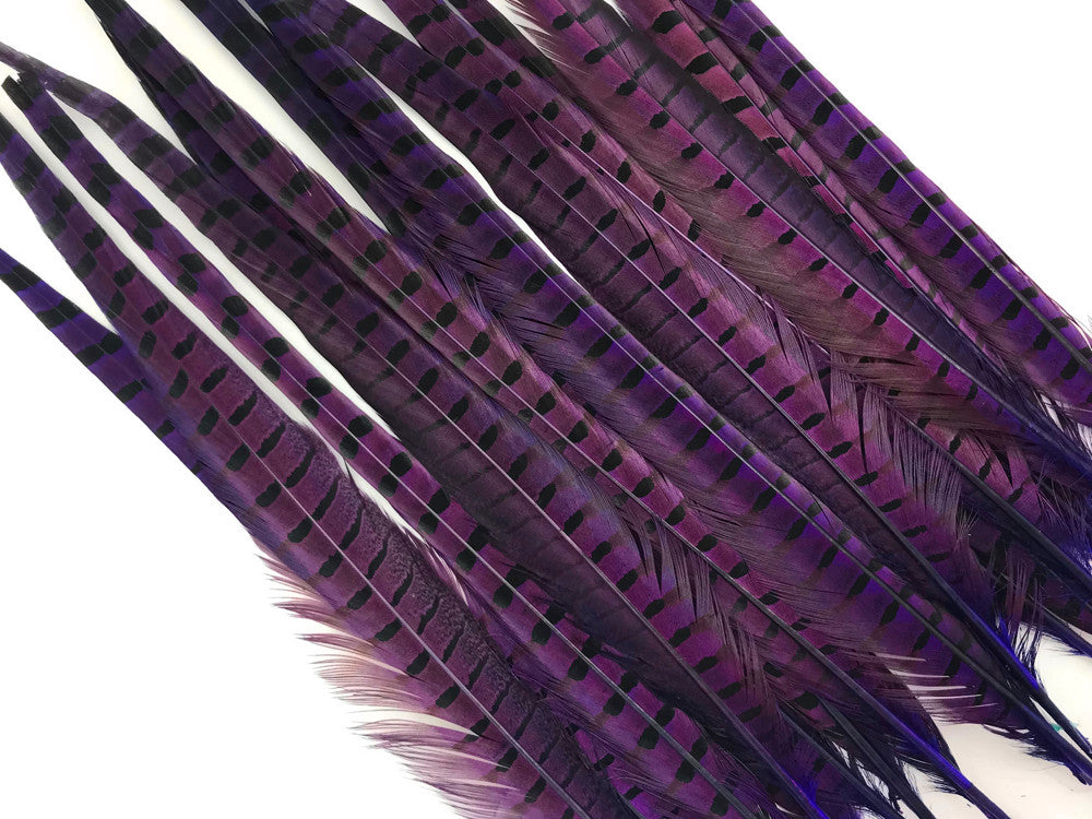 10 Pieces - 18-22" Purple Dye Over Natural Long Ringneck Pheasant Tail Feathers