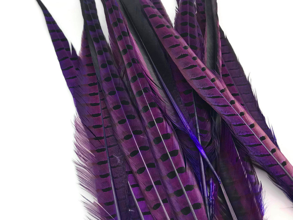 10 Pieces - 18-22" Purple Dye Over Natural Long Ringneck Pheasant Tail Feathers