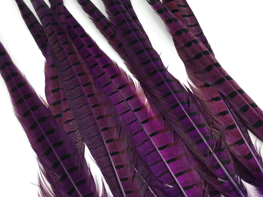 10 Pieces - 18-22" Purple Dye Over Natural Long Ringneck Pheasant Tail Feathers