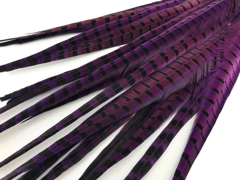 10 Pieces - 18-22" Purple Dye Over Natural Long Ringneck Pheasant Tail Feathers