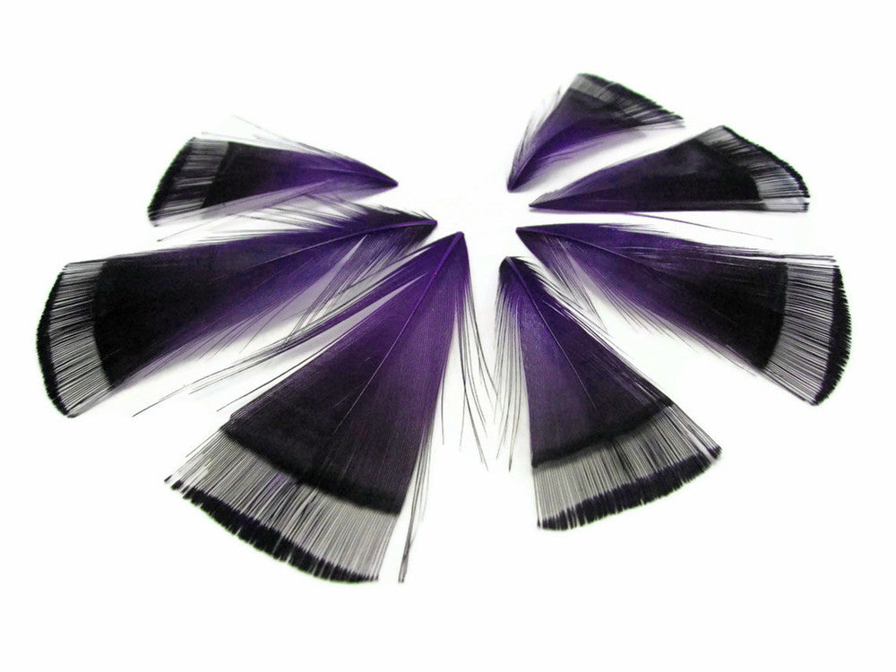 1 Dozen - Purple Golden Pheasant Tippet Feather