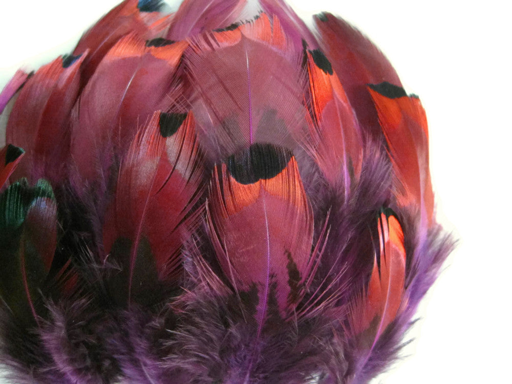 1 Pack - Purple Ringneck Pheasant Plumage Loose Feathers 0.07 Oz