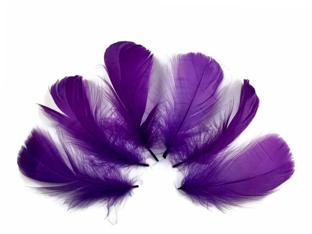 1/4 Lb - 2-3" Purple Goose Coquille Loose Wholesale Feathers (Bulk)