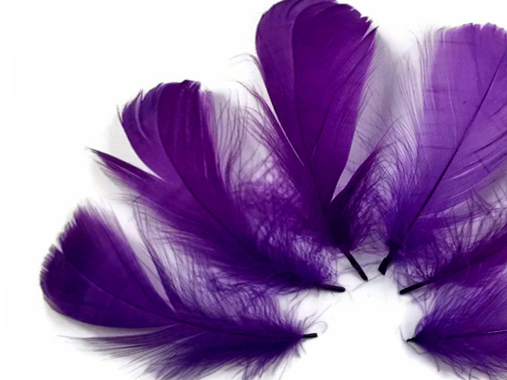 1 Pack - 2-3" Purple Goose Coquille Loose Feathers - 0.35 Oz.