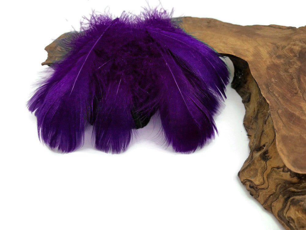 1/4 Lb - 2-3" Purple Goose Coquille Loose Wholesale Feathers (Bulk)