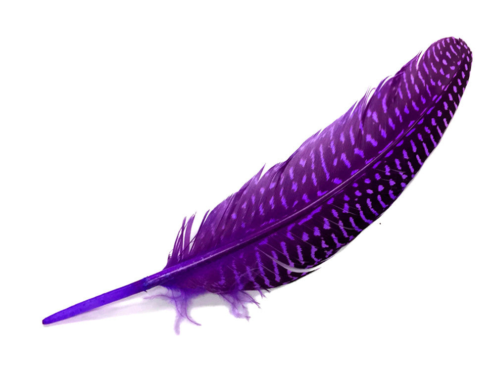 1/8 lb. Purple Polka Dot Guinea Fowl Wing Quills Wholesale Feathers (Bulk)