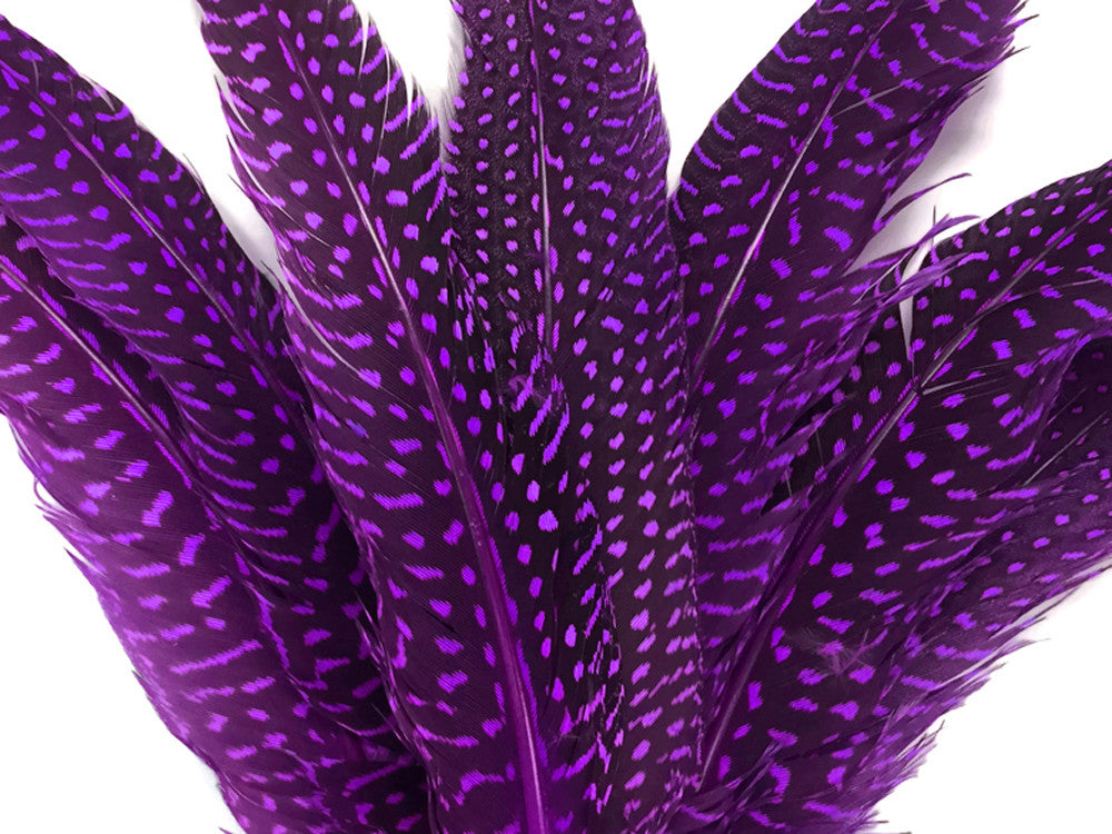 1/8 lb. Purple Polka Dot Guinea Fowl Wing Quills Wholesale Feathers (Bulk)