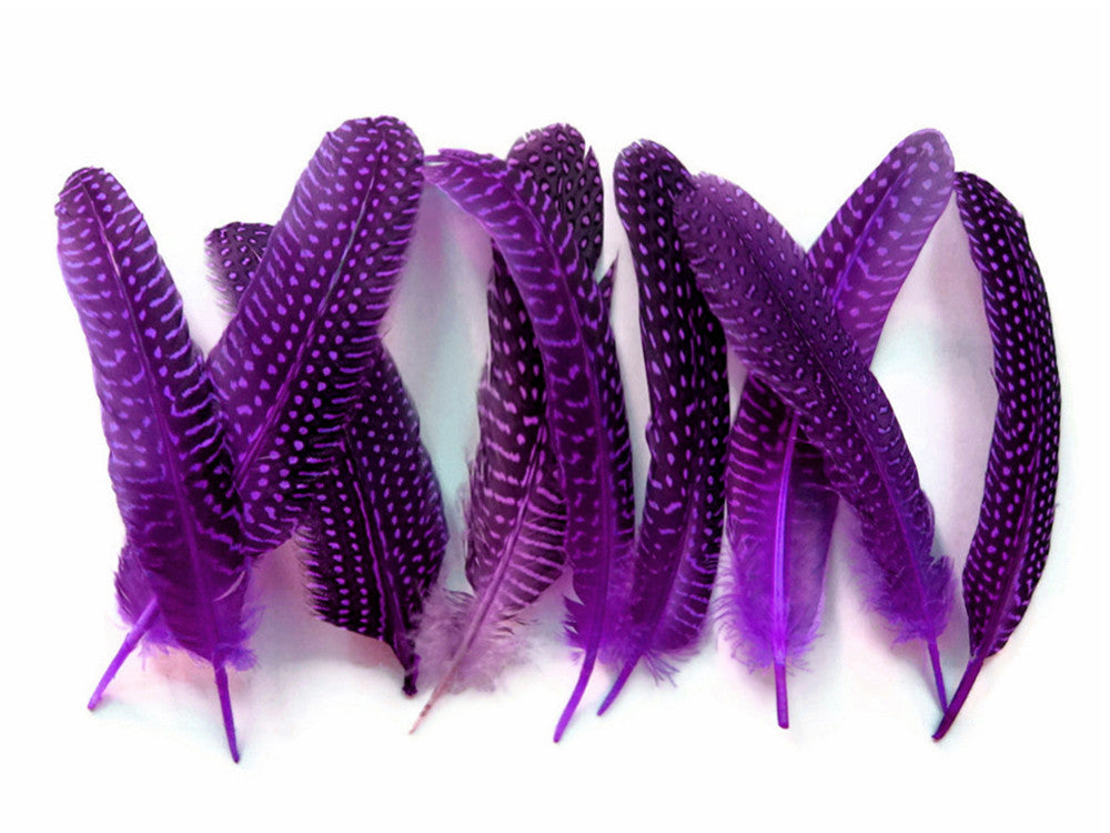 1/8 lb. Purple Polka Dot Guinea Fowl Wing Quills Wholesale Feathers (Bulk)