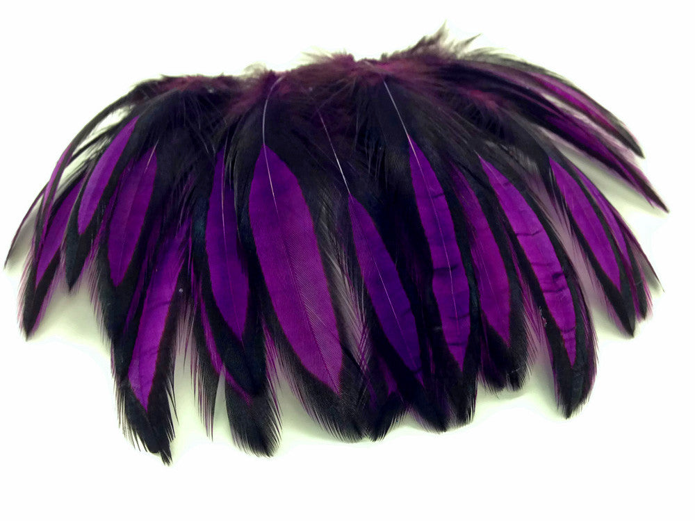 1 Dozen - Purple Whiting Farms BLW Laced Hen Cape Loose Feathers