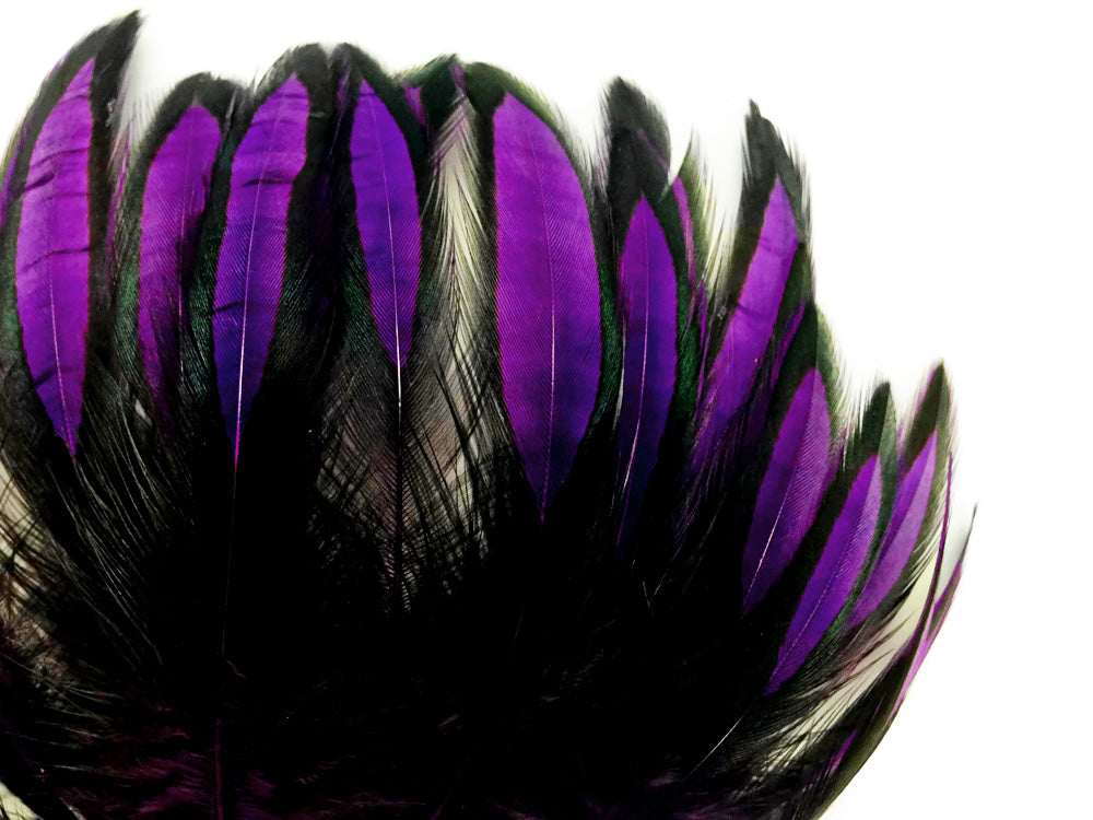 1 Dozen - Purple Whiting Farms BLW Laced Hen Cape Loose Feathers