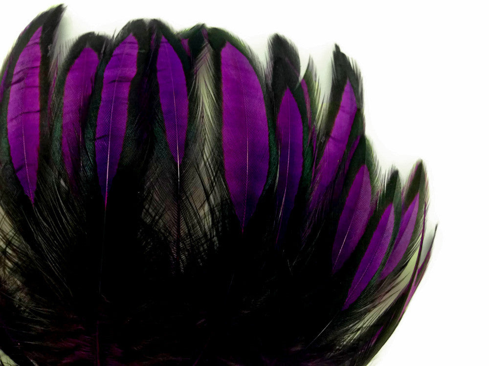 1 Dozen - Purple Whiting Farms BLW Laced Hen Cape Loose Feathers