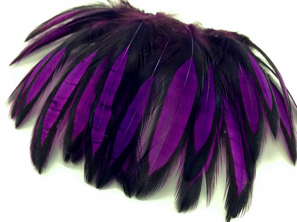 1 Dozen - Purple Whiting Farms BLW Laced Hen Cape Loose Feathers