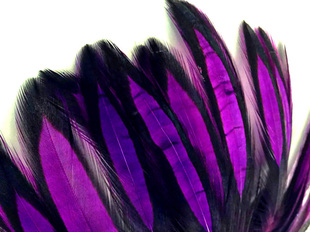 1 Dozen - Purple Whiting Farms BLW Laced Hen Cape Loose Feathers