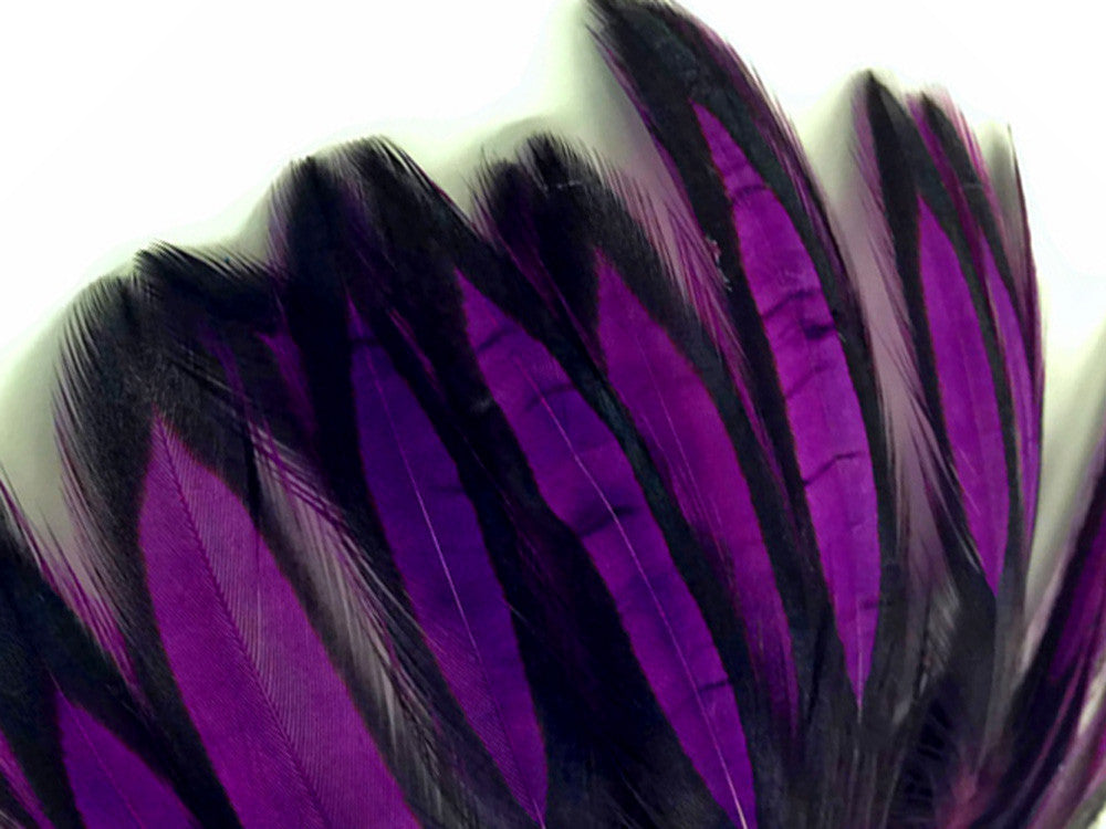 1 Dozen - Purple Whiting Farms BLW Laced Hen Cape Loose Feathers