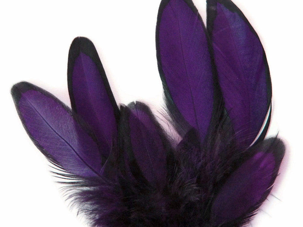 1 Dozen - Purple Whiting Farms Laced Hen Saddle Feathers