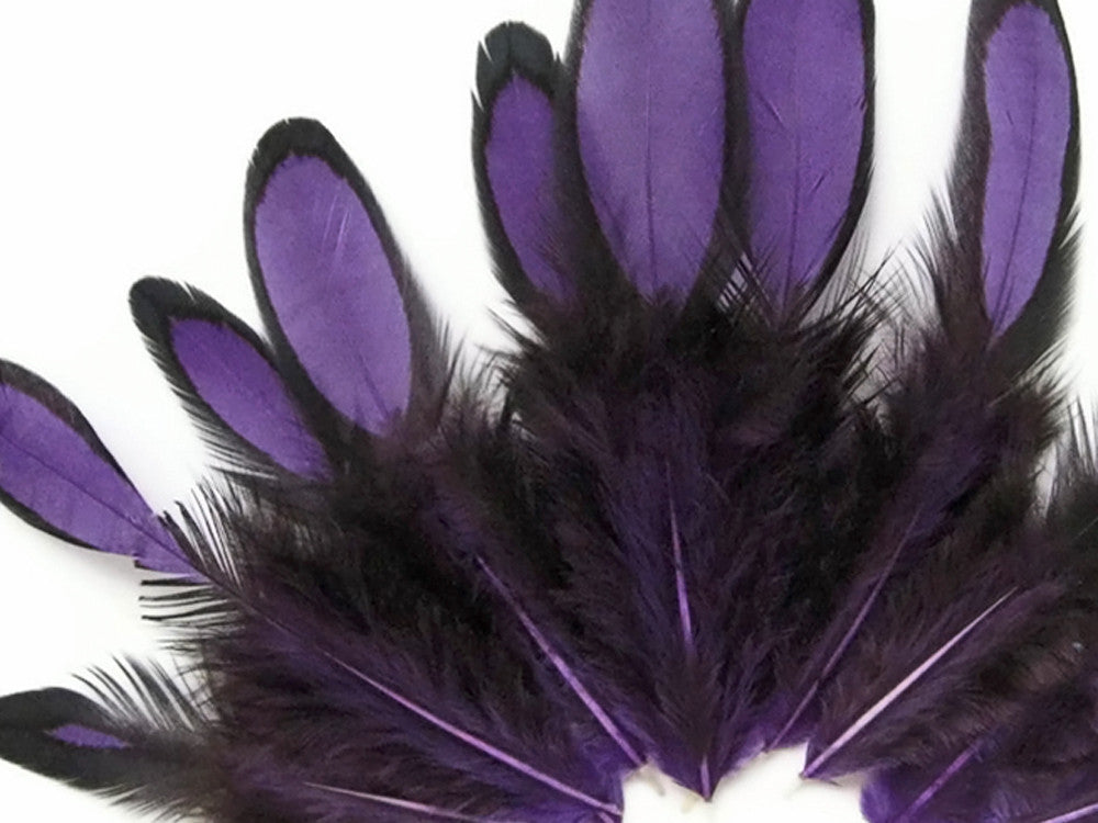 1 Dozen - Purple Whiting Farms Laced Hen Saddle Feathers