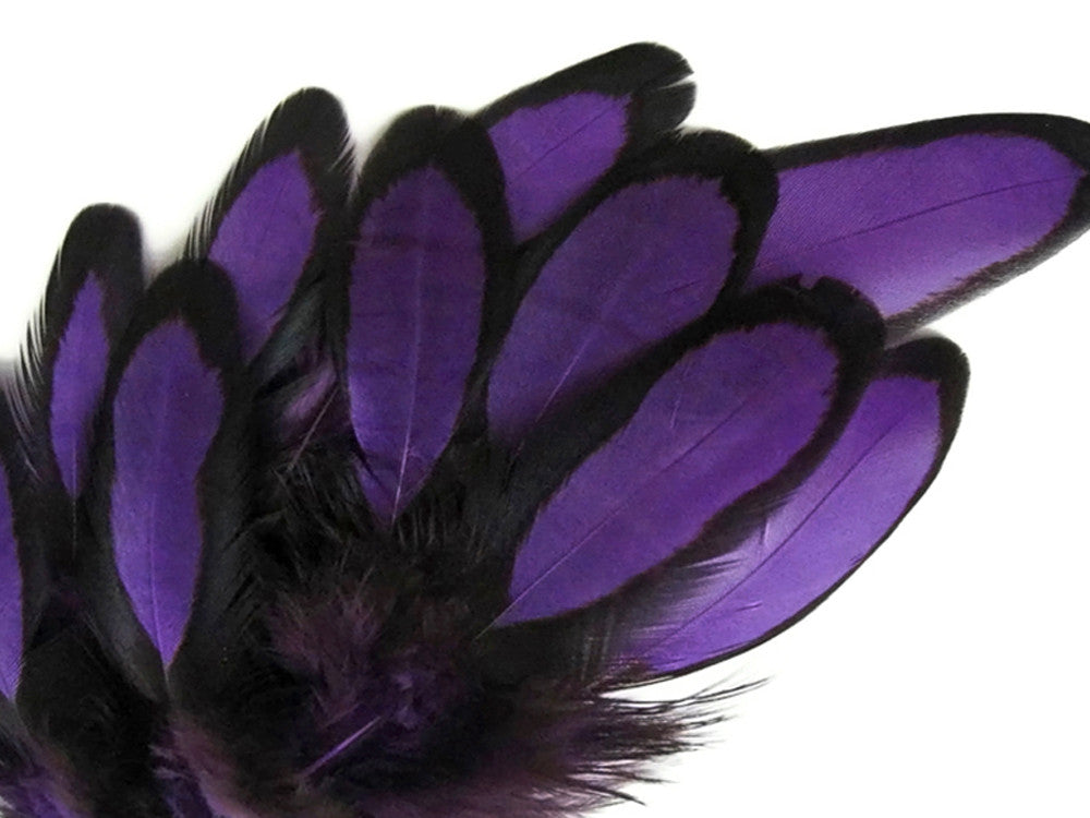 1 Dozen - Purple Whiting Farms Laced Hen Saddle Feathers