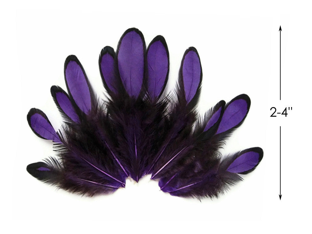 1 Dozen - Purple Whiting Farms Laced Hen Saddle Feathers