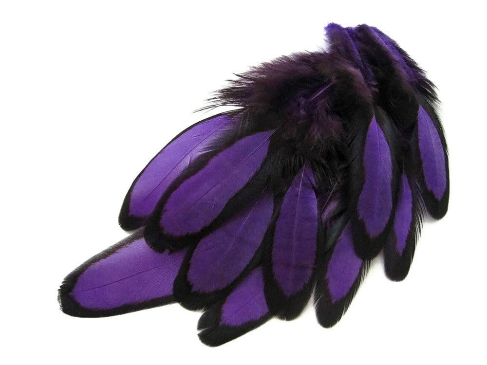 1 Dozen - Purple Whiting Farms Laced Hen Saddle Feathers