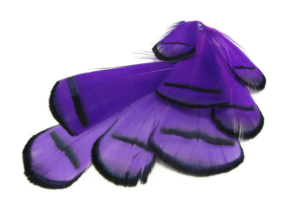 1 Dozen - Dyed Purple Lady Amherst Pheasant Tippet Feathers