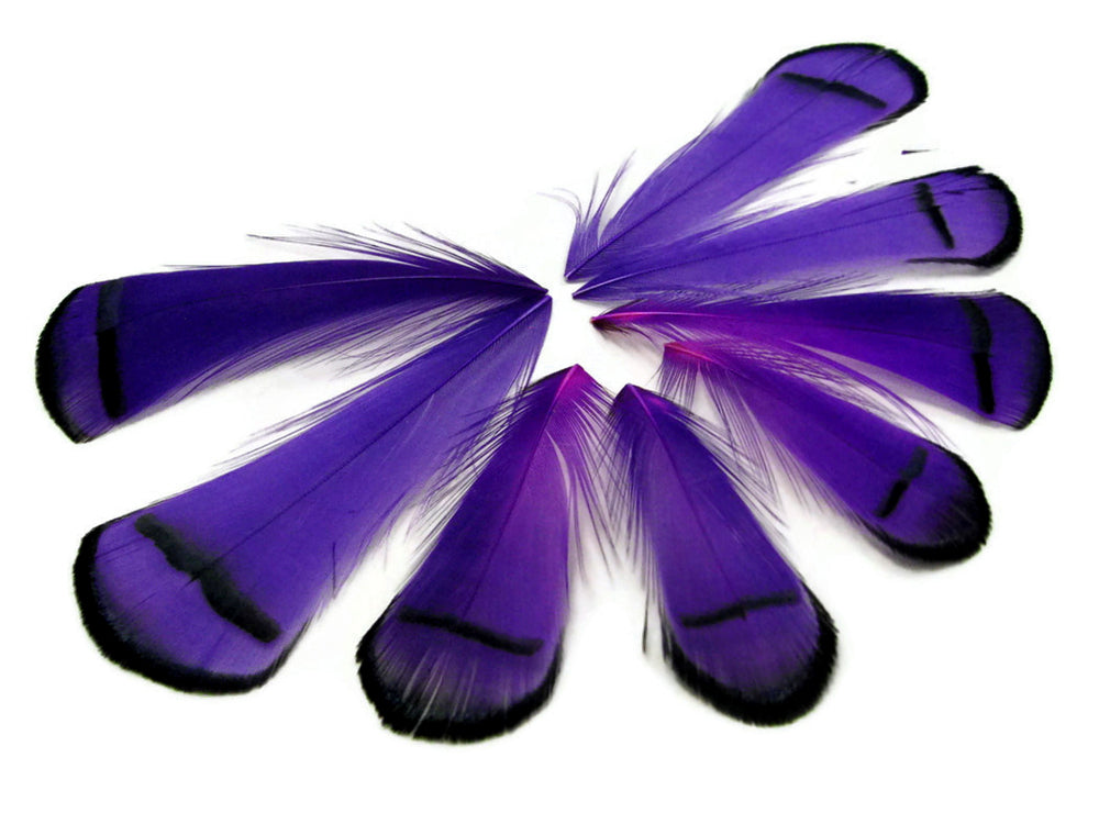 1 Dozen - Dyed Purple Lady Amherst Pheasant Tippet Feathers