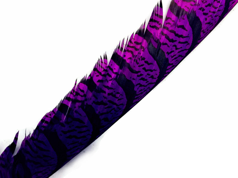 5 Pieces - 30-35" Purple Zebra Lady Amherst Pheasant Tail Super Long Feathers