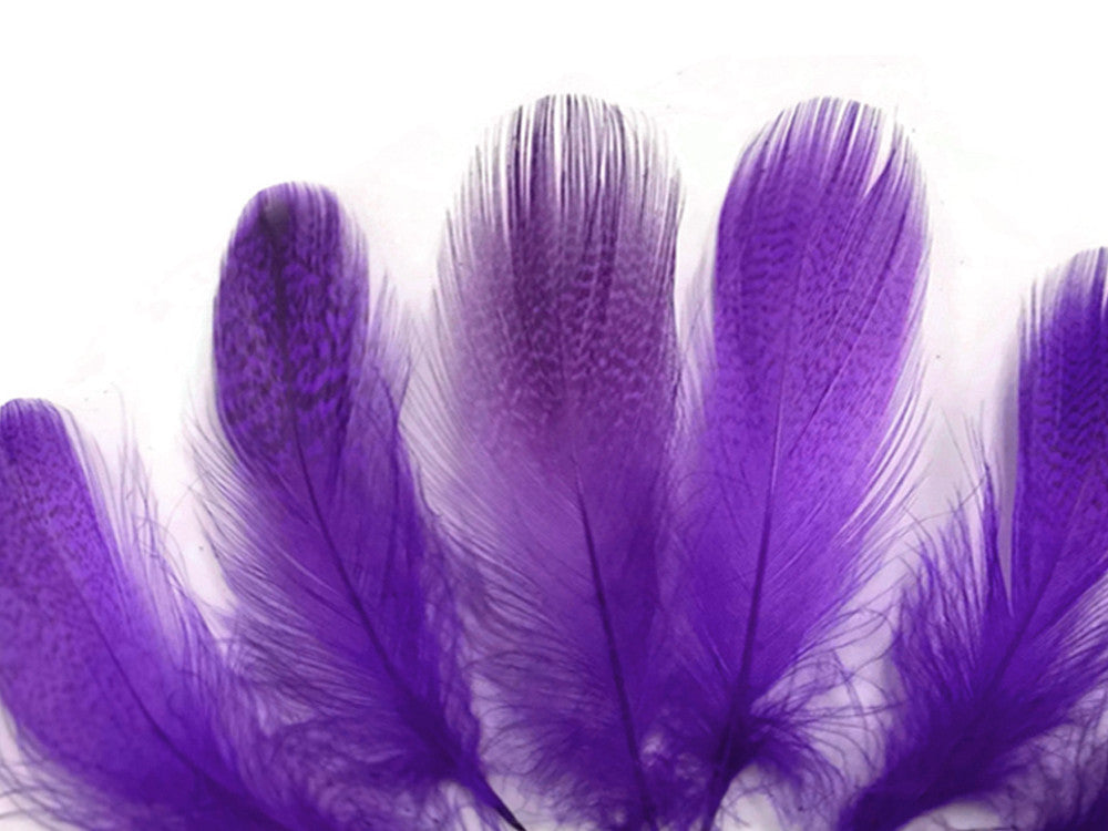 1 Pack - Purple Mallard Duck Flank Feathers 0.10 Oz.