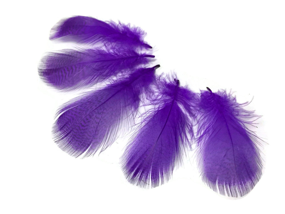 1 Pack - Purple Mallard Duck Flank Feathers 0.10 Oz.