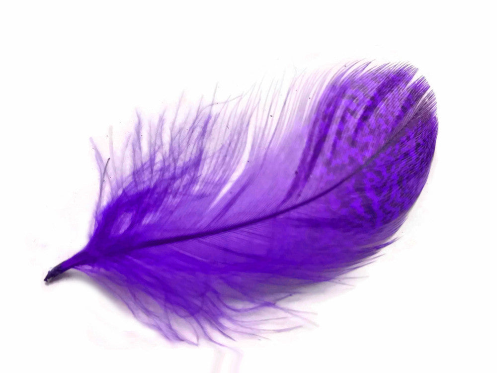 1 Pack - Purple Mallard Duck Flank Feathers 0.10 Oz.