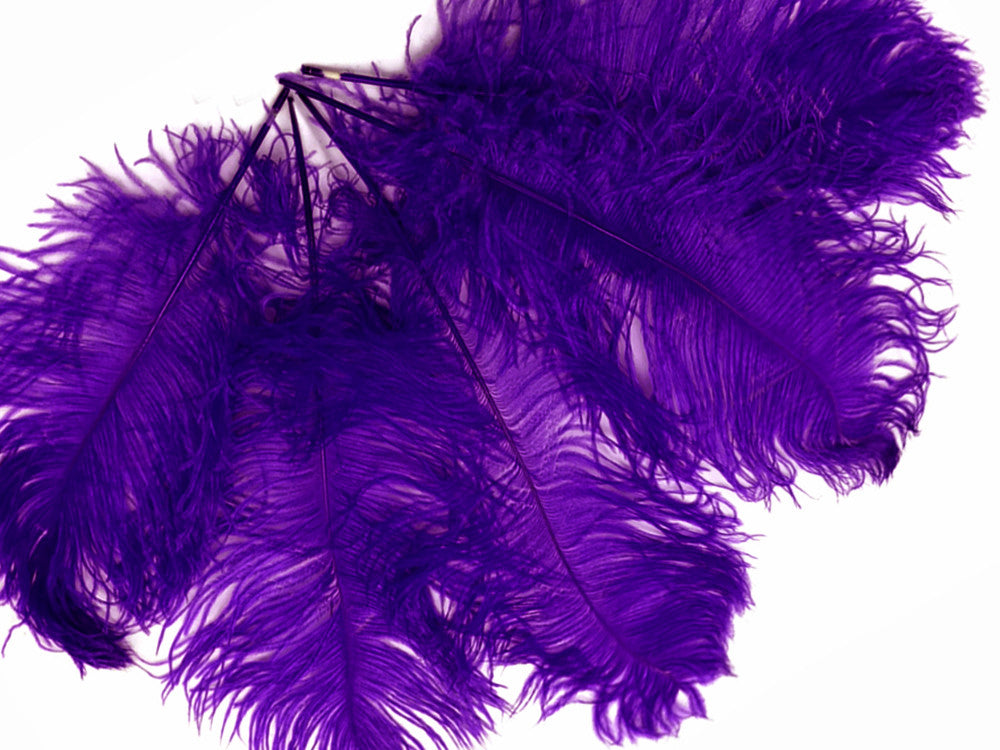 10 Pieces -  12-16" Purple Dyed Ostrich Tail Fancy Feathers