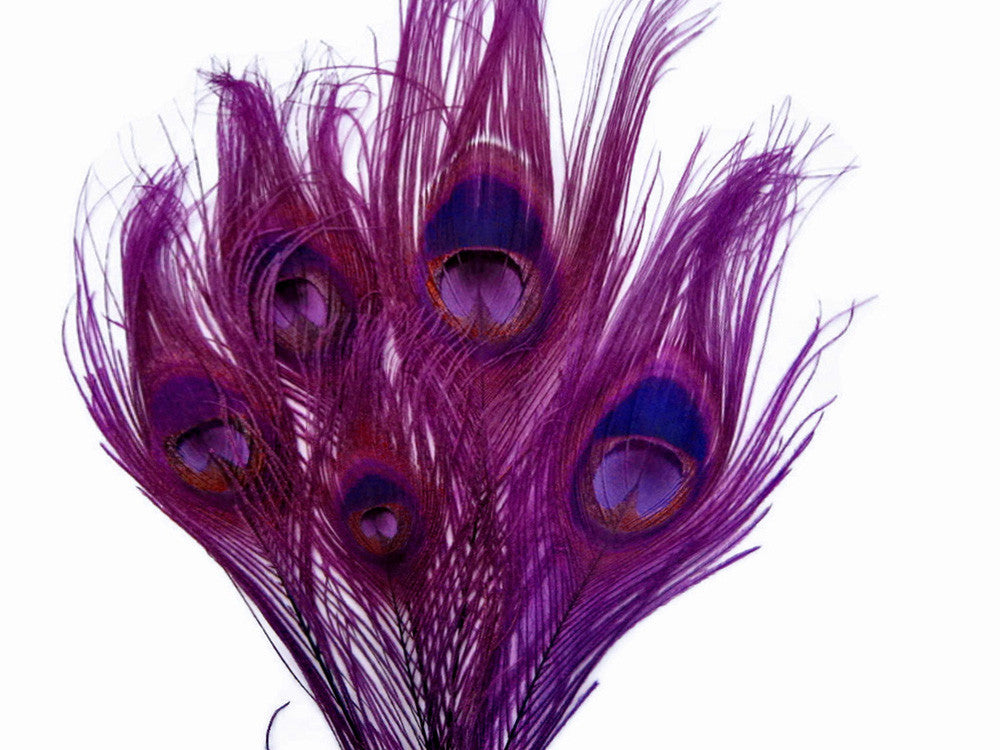 100 Pieces – Purple Bleached & Dyed Peacock Tail Eye Wholesale Feathers (Bulk) 10-12” Long 