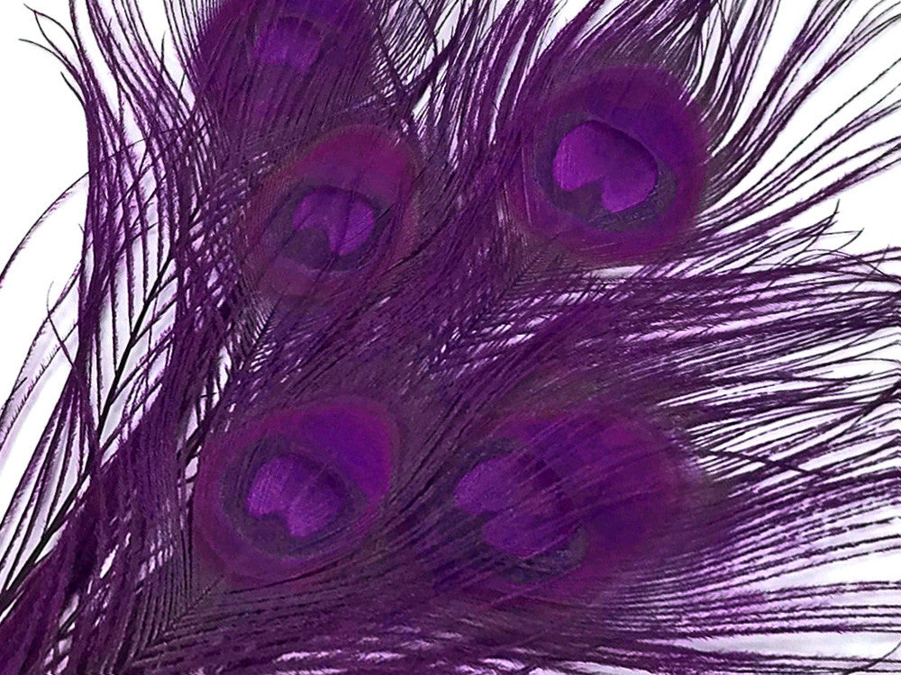 5 Pieces – Purple Bleached & Dyed Peacock Tail Eye Feathers 10-12” Long 