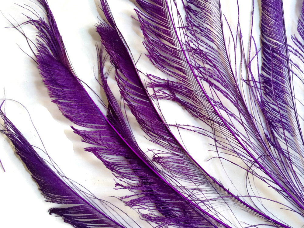 5 Pieces - Purple Bleached & Dyed Peacock Swords Cut Feathers