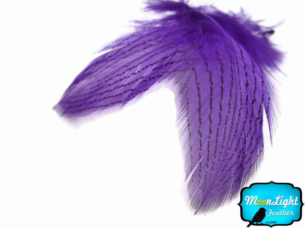 1 Dozen - Purple Silver Pheasant Feathers