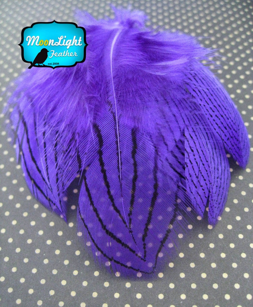 1 Dozen - Purple Silver Pheasant Feathers