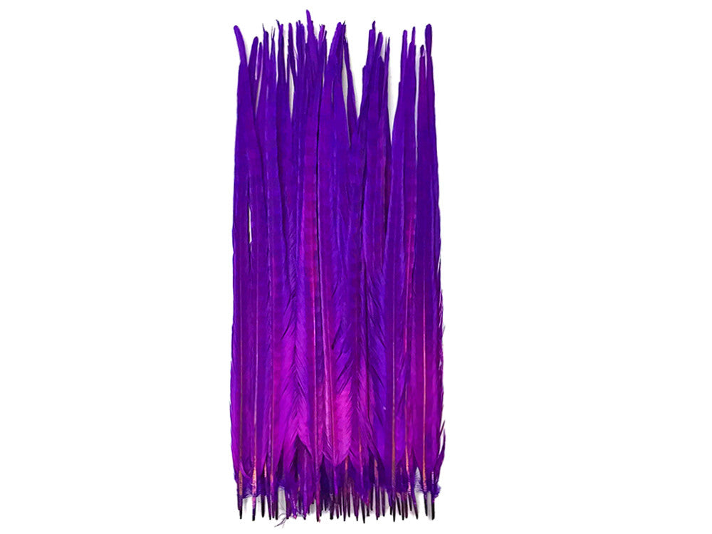 10 Pieces - 18-22" Purple Bleached and Dyed Long Ringneck Pheasant Tail Feathers