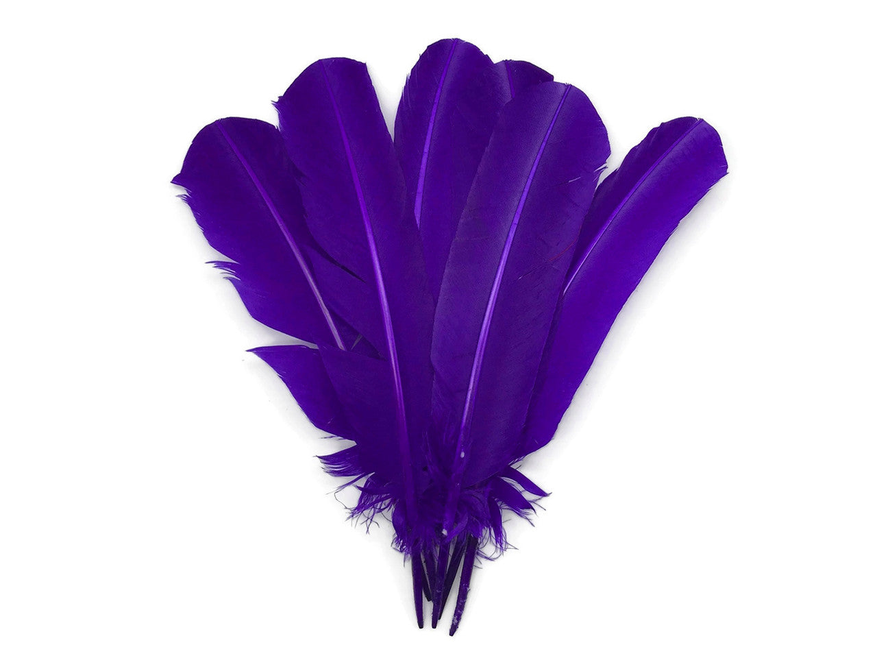 6 Pieces - Purple Turkey Rounds Secondary Wing Quill Feathers