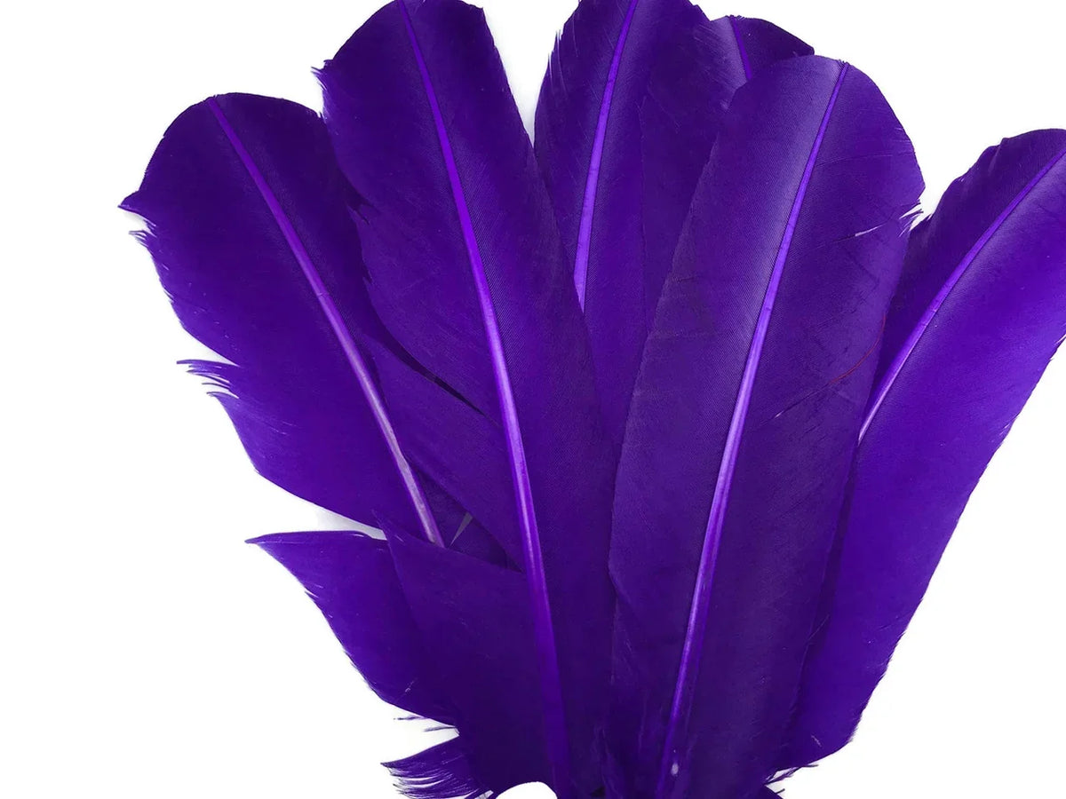 Vibrant purple feathers for crafts and fashion decor on a white background.