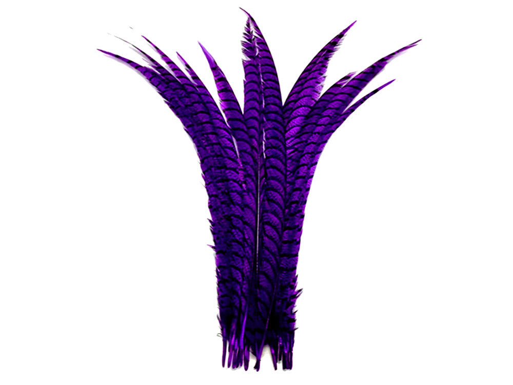 5 Pieces - 30-35" Purple Zebra Lady Amherst Pheasant Tail Super Long Feathers